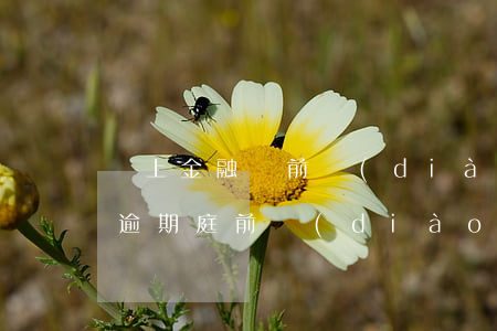 馬上金融訴前調(diào)解員（馬上金融逾期庭前調(diào)解）
