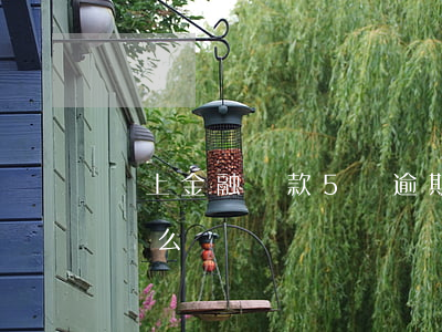 馬上金融貸款5萬逾期(馬上金融逾期2天要緊么)
