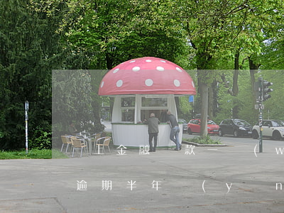 馬上金融貸款一萬(wàn)逾期(馬上金融逾期半年應(yīng)該還多少)