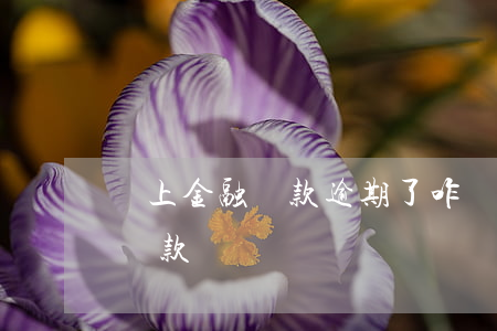 馬上金融貸款逾期了咋辦(馬上金融逾期全額還款)