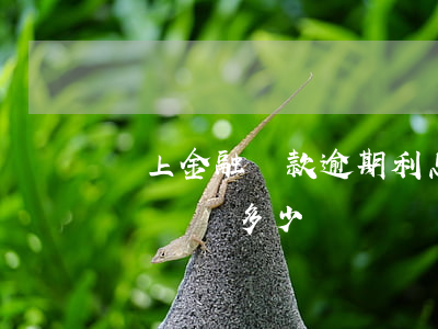 馬上金融貸款逾期利息嗎(馬上金融逾期半年應該還多少)