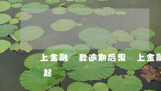 馬上金融貸款逾期后果(馬上金融貸款逾期了會起訴嗎?)