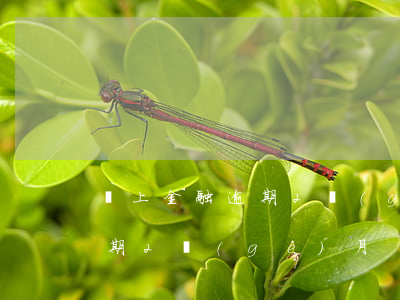馬上金融逾期2個(gè)月-馬上金融逾期2個(gè)月