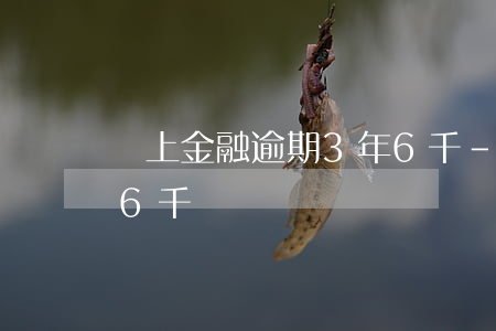 馬上金融逾期3年6千-馬上金融逾期3年6千塊