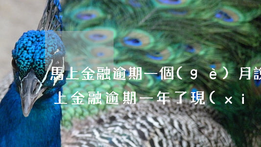 馬上金融逾期一個(gè)月說要起訴-馬上金融逾期一年了現(xiàn)在發(fā)信息說已經(jīng)告我了