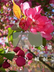 馬上金融逾期一萬(wàn)多會(huì)被起訴嗎(馬上金融逾期兩千會(huì)被起訴嗎)