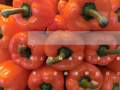 馬上金融逾期了多久會(huì)被起訴-馬上金融逾期起訴立案標(biāo)準(zhǔn)