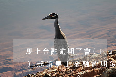 馬上金融逾期了會(huì)不會(huì)起訴(馬上金融逾期多久會(huì)起訴)