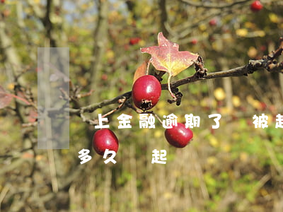 馬上金融逾期了會被起訴嗎-馬上金融逾期多久會起訴