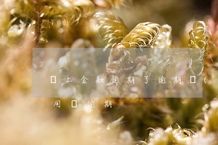 馬上金融逾期了逾期費(fèi)怎么還（急用錢逾期）
