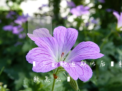 馬上金融逾期以后還款(馬上金融逾期以后還款怎么辦)