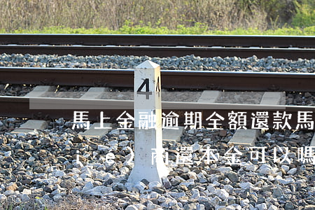 馬上金融逾期全額還款(馬上金融逾期協(xié)商還本金可以嗎)