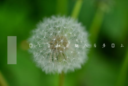 馬上金融逾期八百多（馬上金融逾期八百多）