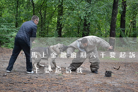 馬上金融逾期六千要起訴我 馬上金融逾期六千要起訴我