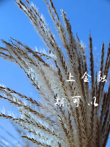 馬上金融逾期可以從微信扣款嗎(馬上金融逾期可以從微信扣款嗎)