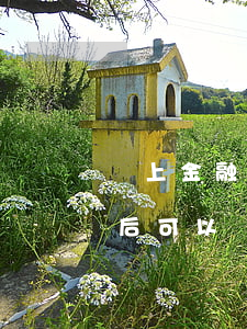 馬上金融逾期多久可以辦信用卡(逾期多久以后可以辦信用卡)
