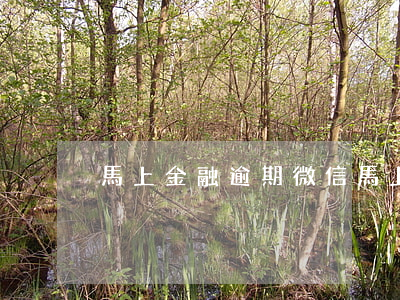 馬上金融逾期微信(馬上金融逾期微信)