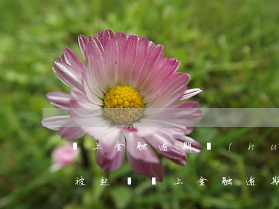馬上金融逾期會(huì)不會(huì)被起訴(馬上金融 逾期)