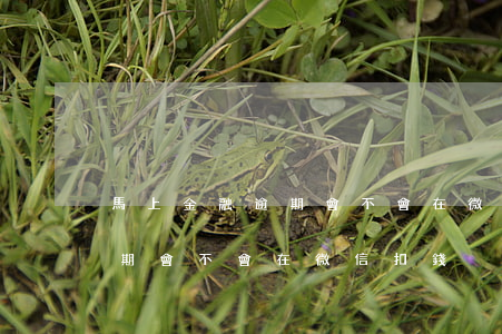 馬上金融逾期會不會在微信扣錢 馬上金融逾期會不會在微信扣錢