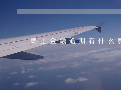 馬上金融逾期有什么影響嗎(馬上金融 逾期)