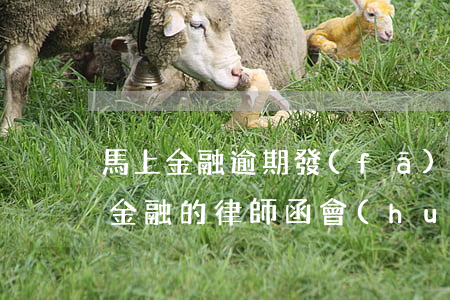 馬上金融逾期發(fā)了律師函(收到馬上金融的律師函會(huì)不會(huì)被起訴)