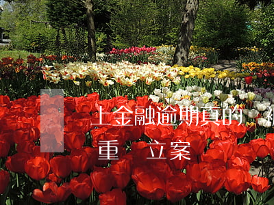 馬上金融逾期真的會被起訴嗎(馬上金融逾期嚴重會立案嗎)