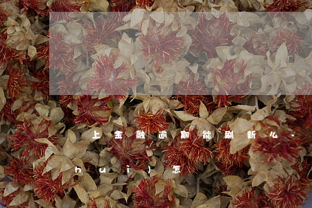 馬上金融逾期能刷新么-馬上金融逾期會(huì)怎樣
