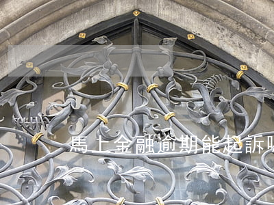 馬上金融逾期能起訴嗎
