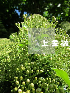 馬上金融逾期說要取消分期