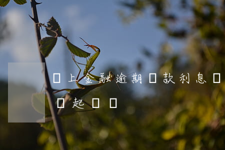 馬上金融逾期貸款利息(馬上金融貸款逾期了會起訴嗎?)