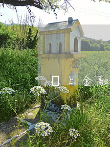 馬上金融逾期貼吧