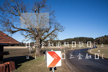 馬上金融逾期還款轉(zhuǎn)對(duì)公(馬上金融對(duì)公賬號(hào)還款)