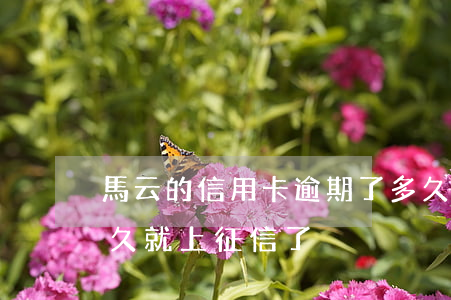 馬云的信用卡逾期了多久上征信(欠債不還多久就上征信了)