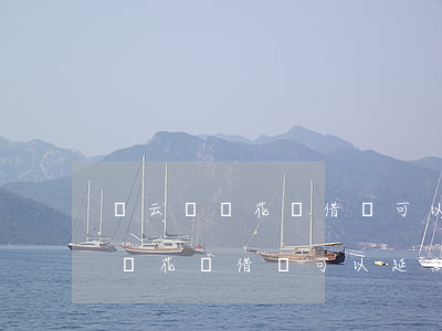 馬云說過花唄借唄可以延期還款不-馬云說過花唄借唄可以延期還款不