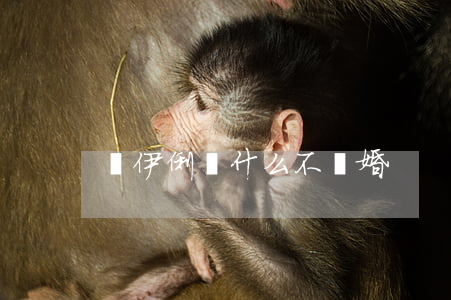 馬伊俐為什么不離婚