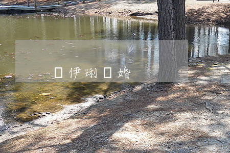 馬伊琍 離婚