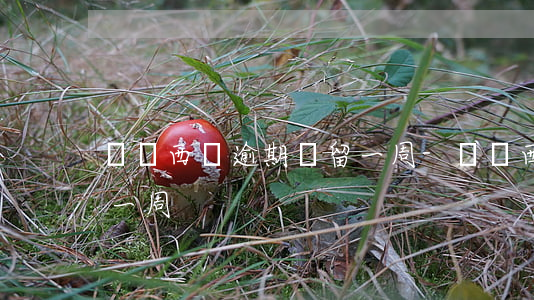 馬來西亞逾期滯留一周-馬來西亞逾期滯留一周