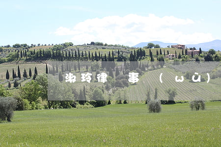 馬淑玲律師事務(wù)所(王淑英律師)