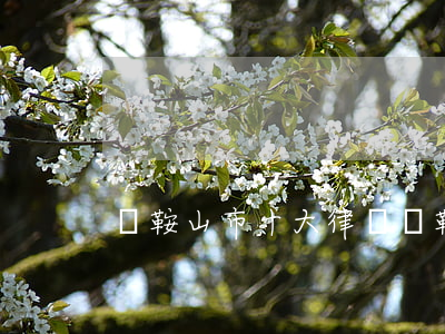 馬鞍山市十大律師(馬鞍山有名氣的律師)