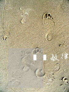馬麗敏律師(馬超敏律師)