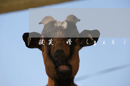 馮提莫離婚過(guò)嗎
