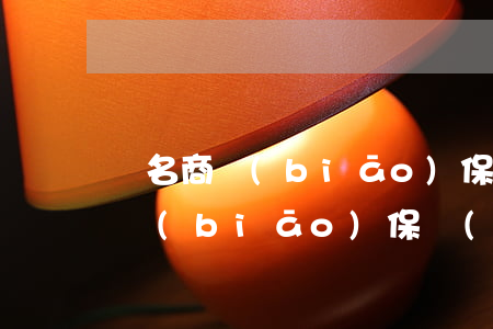 馳名商標(biāo)保護(hù)(馳名商標(biāo)保護(hù)原則)
