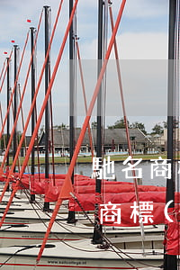 馳名商標(biāo)的保護(hù)(馳名商標(biāo)的保護(hù)措施)