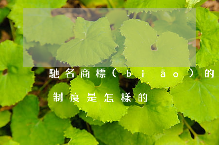 馳名商標(biāo)的法律保護(hù)制度是怎樣的