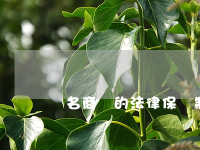 馳名商標的法律保護制度是怎樣的