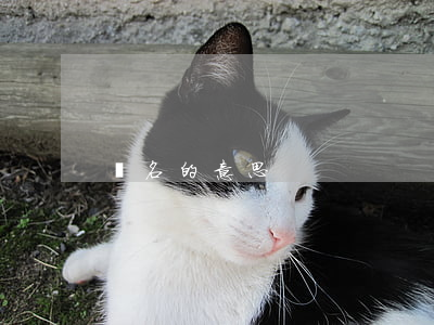 馳名的意思