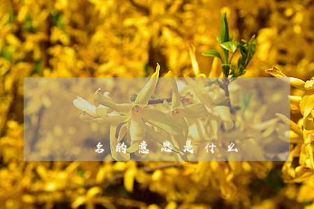 馳名的意思是什么