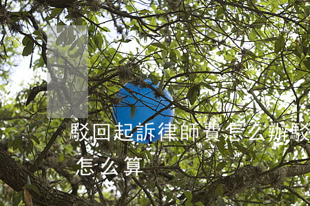 駁回起訴律師費怎么辦(駁回訴訟請求律師費怎么算)