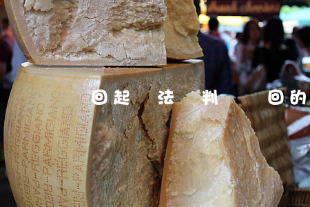 駁回起訴法條(判決駁回的法條)