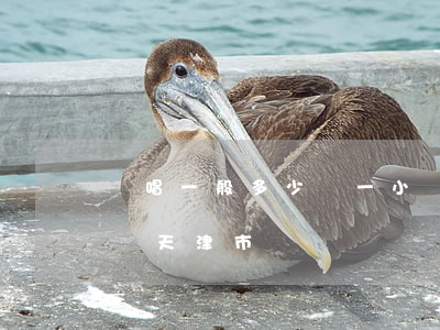 駐唱一般多少錢一小時(駐唱一般多少錢一小時天津市)